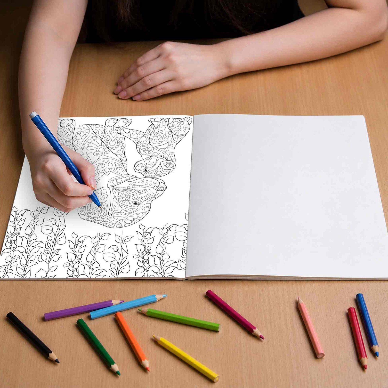 Colouring Book for Adults Animals & Birds - Image 4