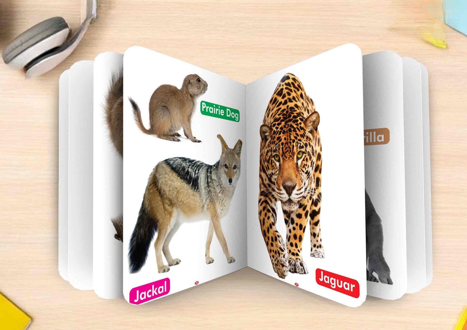 Big Pictures : Wild Animals | My First Board Book | Early Learning Picture Book - Image 6