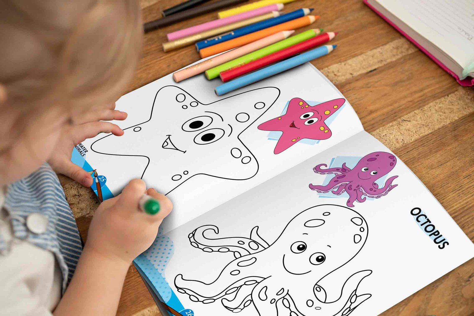 2 In 1 Copy To Colour Flowers and Water Animals - Image 5