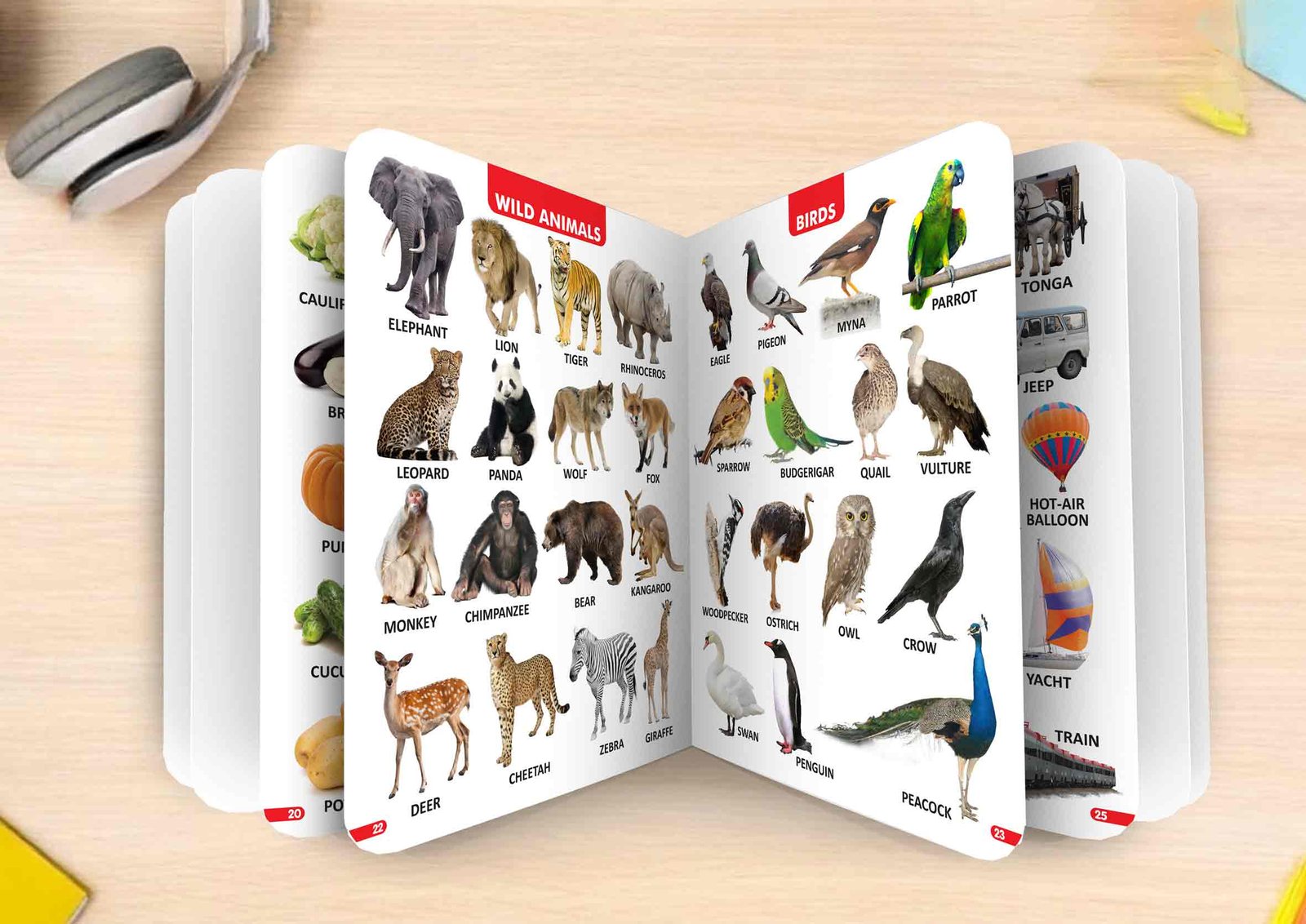 Grand All in One | My First Board-Book | Early Learning Picture Book - Image 6