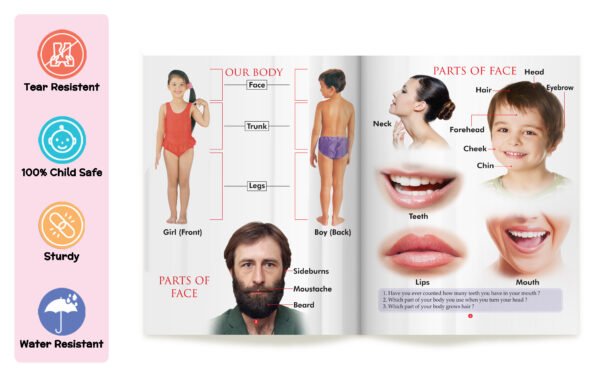My First Book of Body Parts | My First Book (Can be Wiped Clean) - Image 3