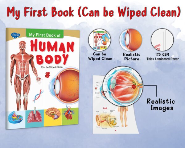 My First Book of Human Body | My First Book (Can be Wiped Clean) - Image 5