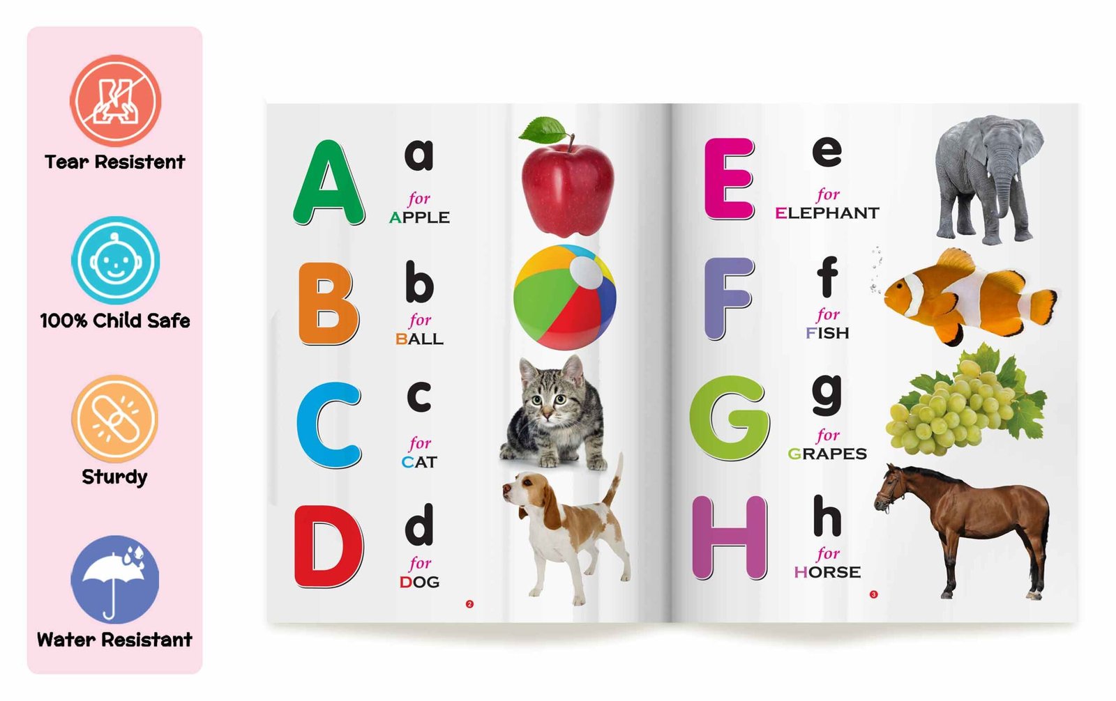 My First Book (Can be Wiped clean) |My First Book of ABC - Image 3