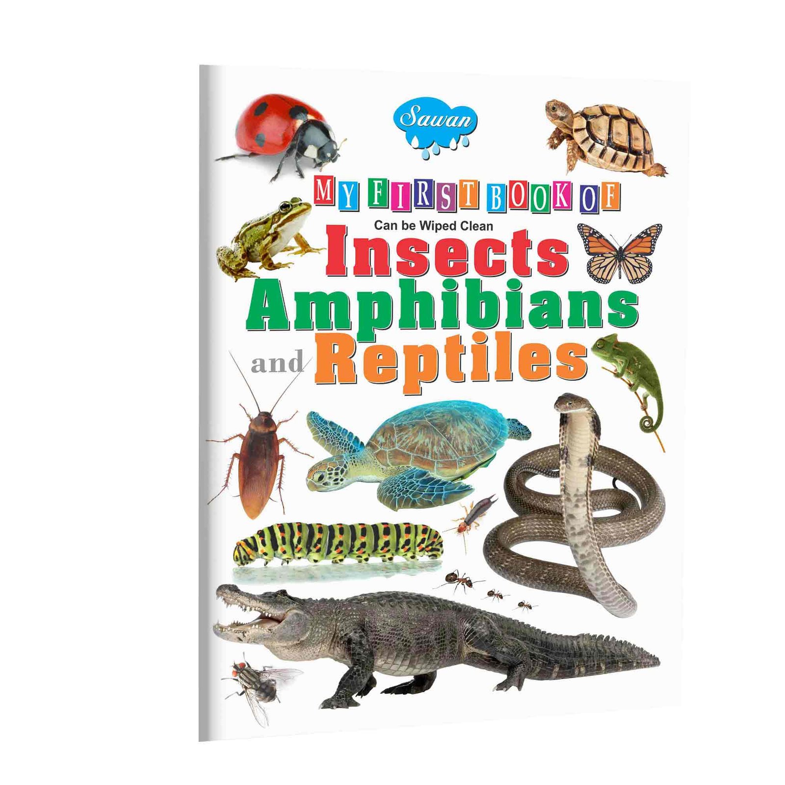 My First Book of Amphibians and Reptiles Amphibians and Reptiles Book Amphibians Book for Kids Wipe Clean Animal Book