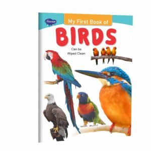My First Birds Wipe Clean Book My First Birds Book Wipe Clean Bird Activity Book Birds Activity Book for Kids My First Bird Book