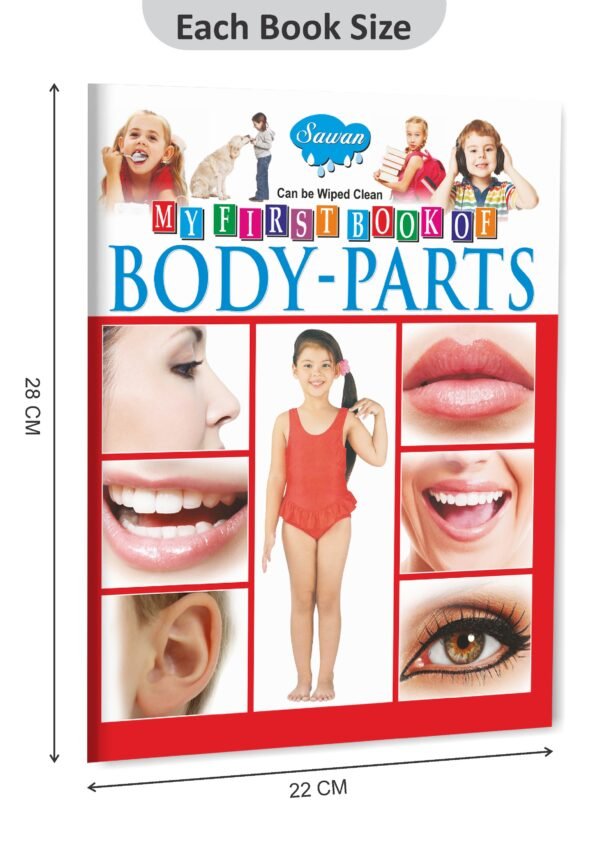 My First Book of Body Parts | My First Book (Can be Wiped Clean) - Image 2