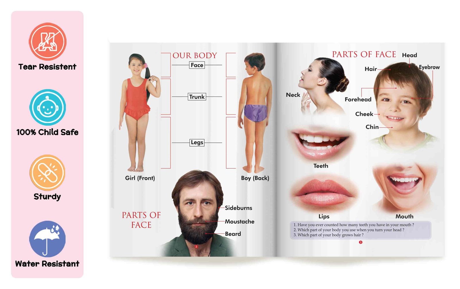 My First Book of Body Parts | My First Book (Can be Wiped Clean) - Image 4