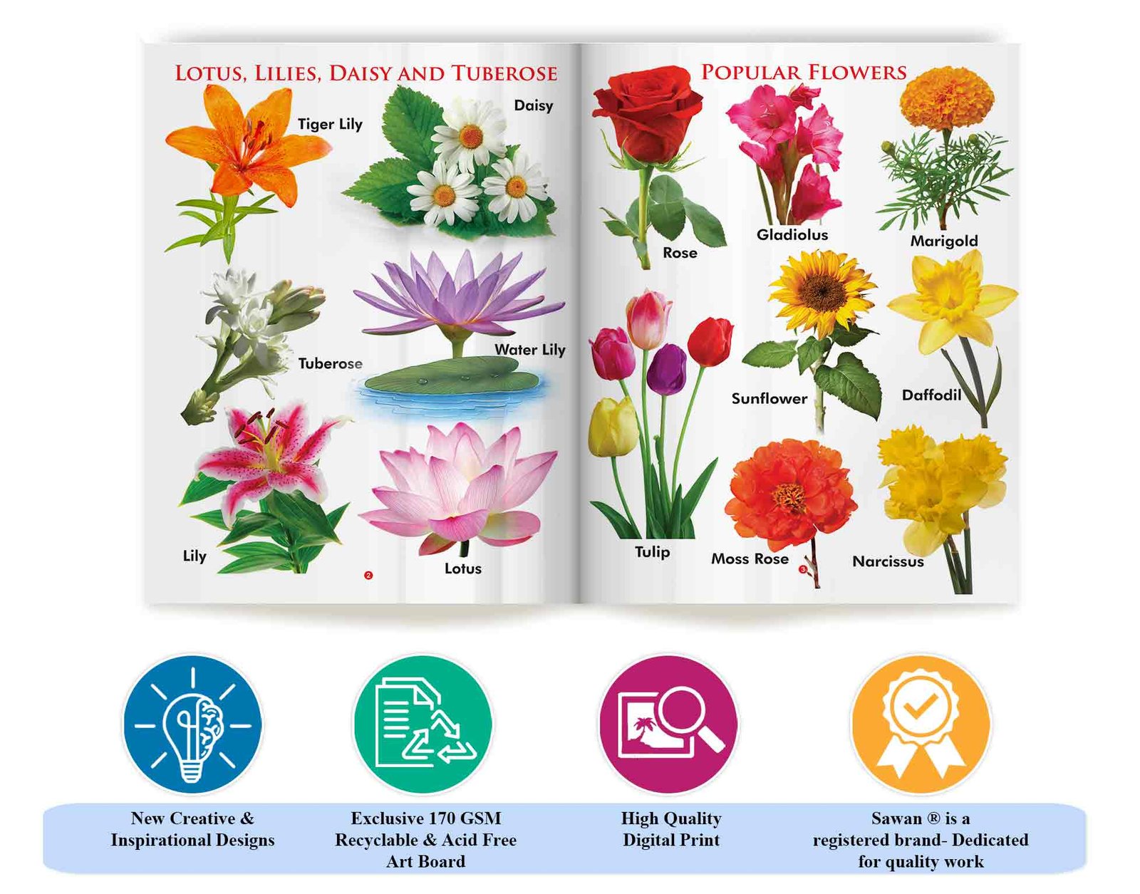 My First Book of Flowers | My First Book (Can be Wiped Clean) - Image 5