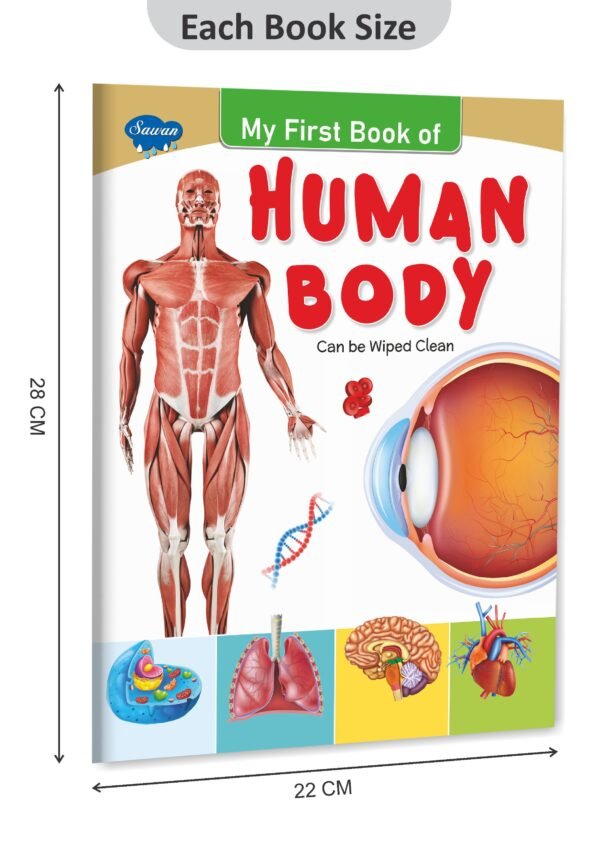 My First Book of Human Body | My First Book (Can be Wiped Clean) - Image 2