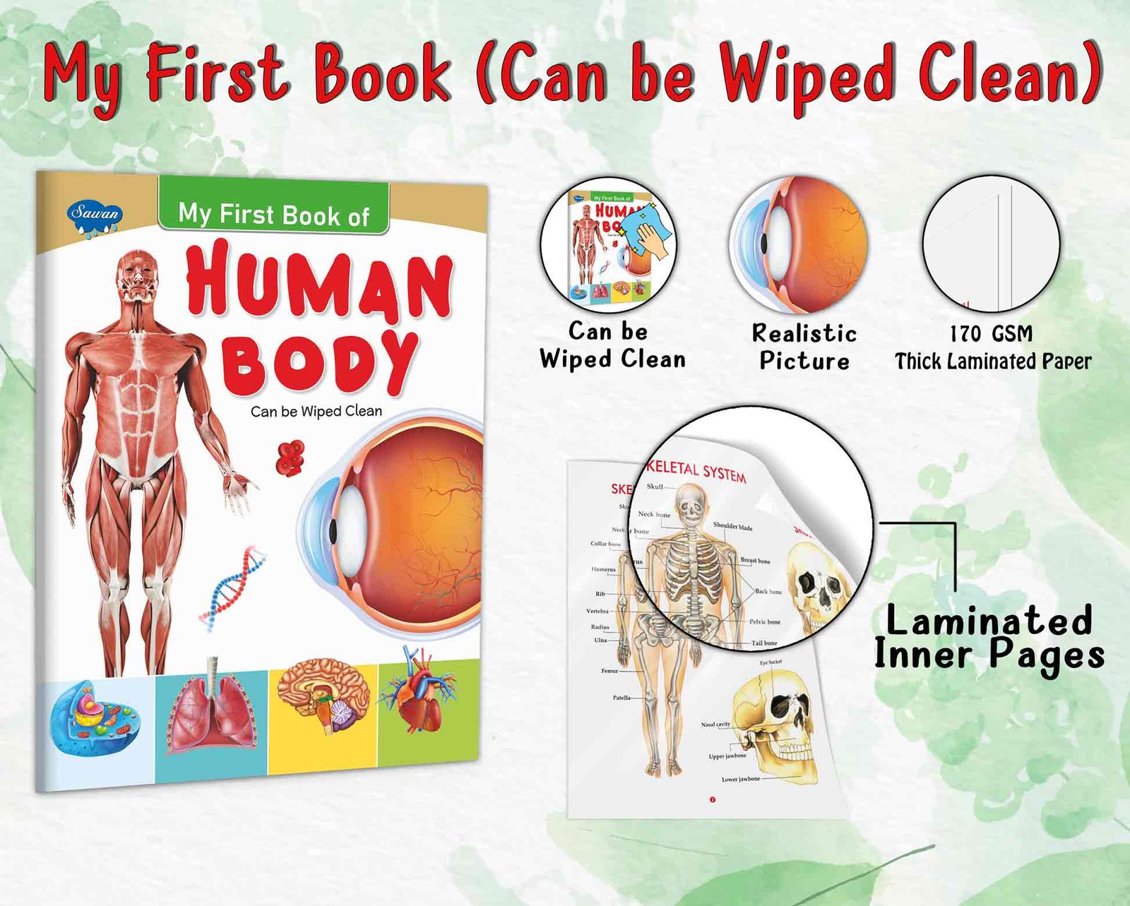 My First Book of Human Body | My First Book (Can be Wiped Clean) - Image 3