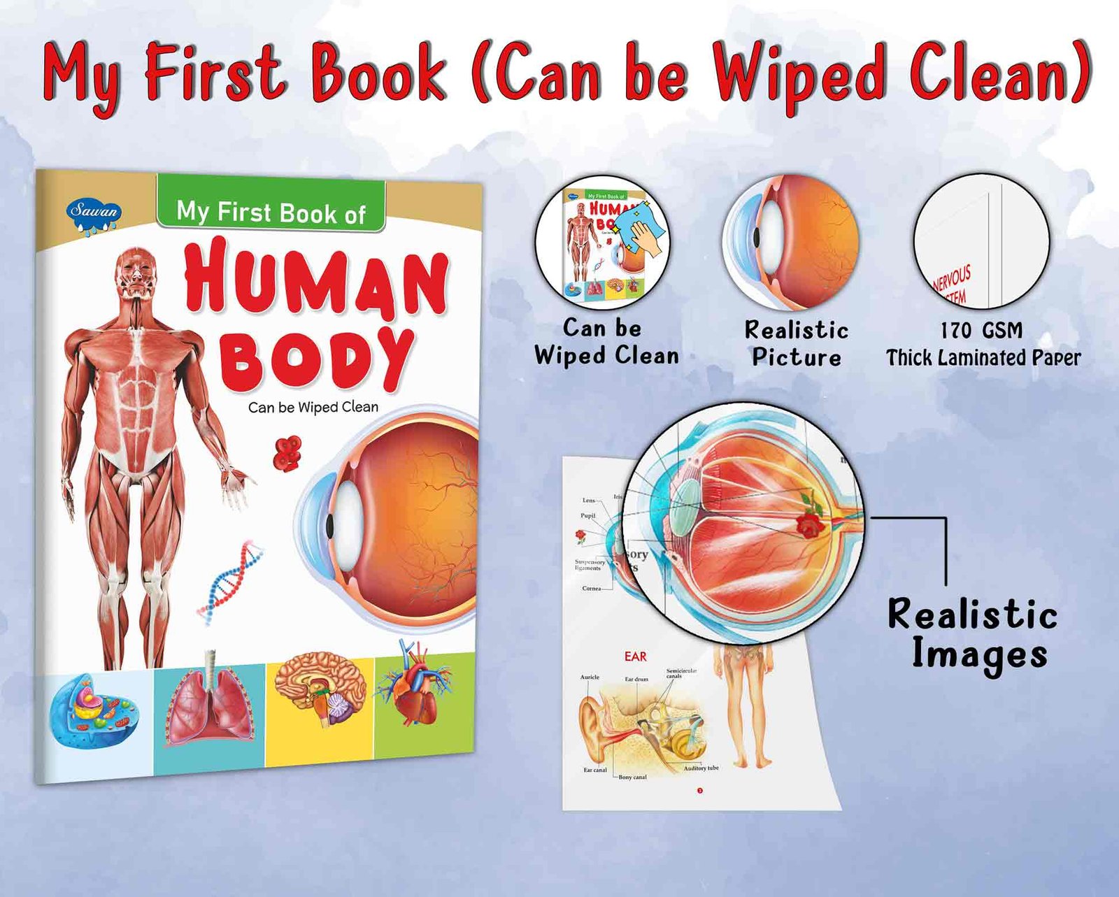 My First Book of Human Body | My First Book (Can be Wiped Clean) - Image 7