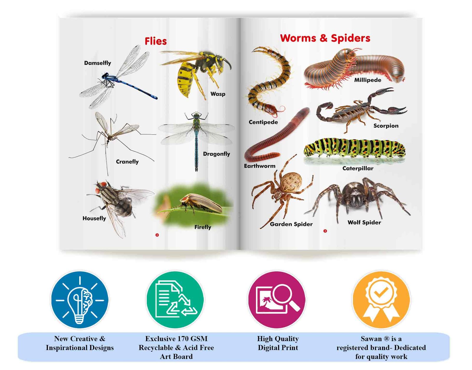 My First Book of Insects | My First Book (Can be Wiped Clean) - Image 5
