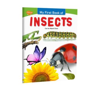 Wipe Clean Insects Book My First Insect Learning Book Insect Knowledge Book for Kids Wipe Clean Insect Book My First Bugs and Insects Book