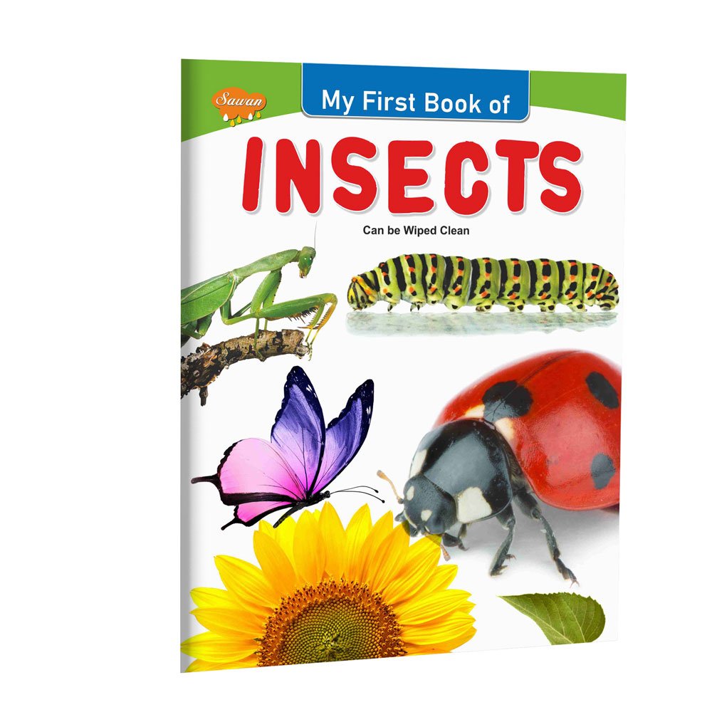 Wipe Clean Insects Book My First Insect Learning Book Insect Knowledge Book for Kids Wipe Clean Insect Book My First Bugs and Insects Book