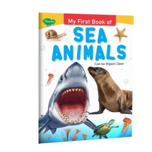 My First Book of Sea Animals Wipe Clean Sea Animals Book Sea Life Book for Kids Wipe Clean Kids Book Sea Creatures Learning Book