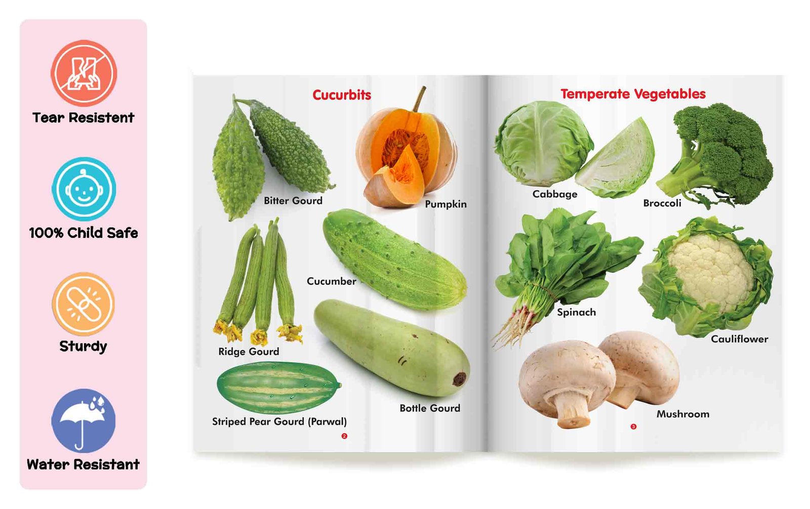 My First Book of Vegetables | My First Book (Can be Wiped Clean) - Image 4