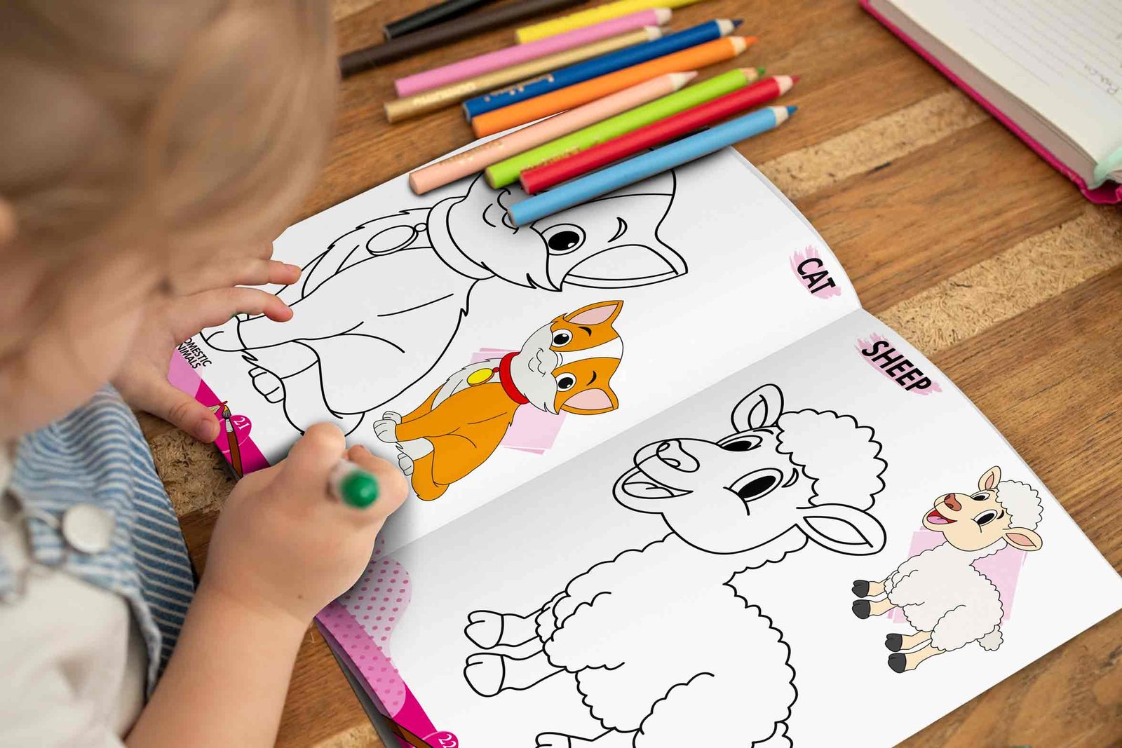 2 In 1 Copy to Colour Wild and Domestic Animals - Image 5