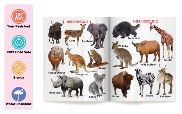 My First Book of Wild Animals | My First Book (Can be Wiped Clean) - Image 7