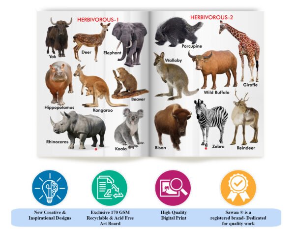 My First Book of Wild Animals | My First Book (Can be Wiped Clean) - Image 6