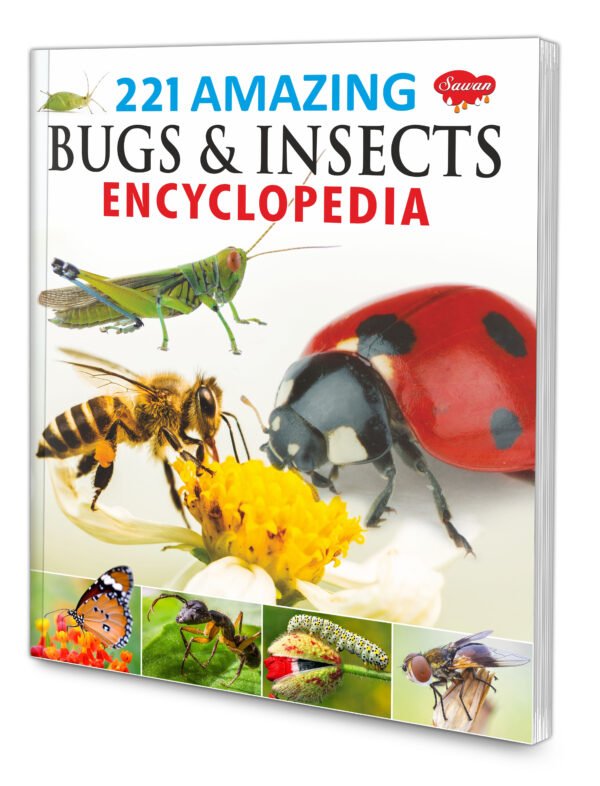 Insight Amazing Bugs and Insects Encyclopedia