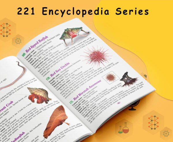 221 Amazing Bugs and Insects Encyclopedia | 221 Encyclopedia Series - Image 3