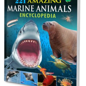 Enlightenment Amazing Marine Animals Encyclopedia