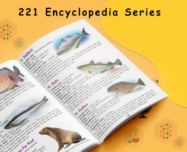 221 Amazing Marine Animals Encyclopedia | 221 Encycopedia Series - Image 3