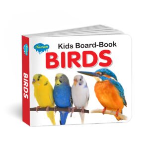 Early education Birds