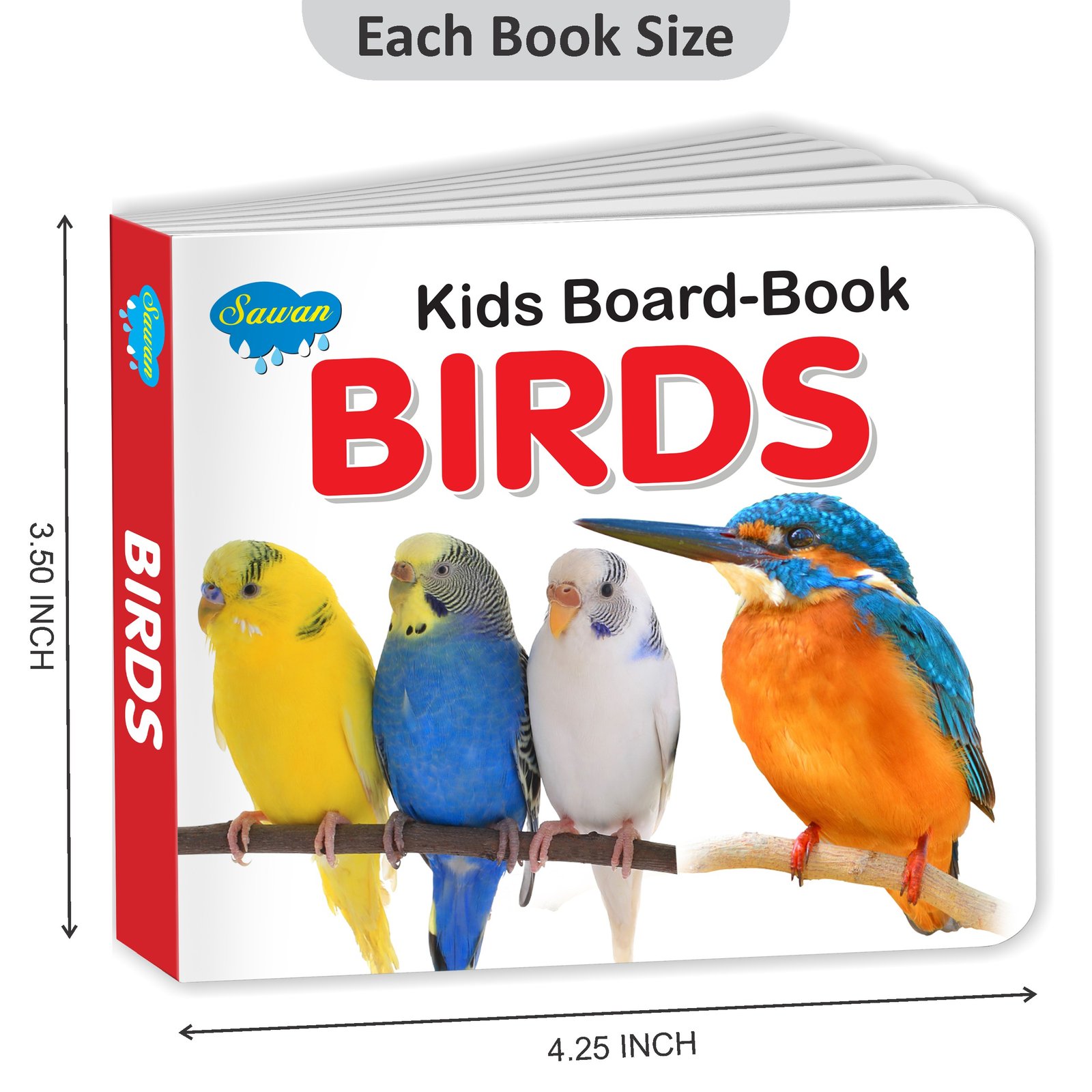 Birds | Kids Board Book | Early Learning Picture Book - Image 2