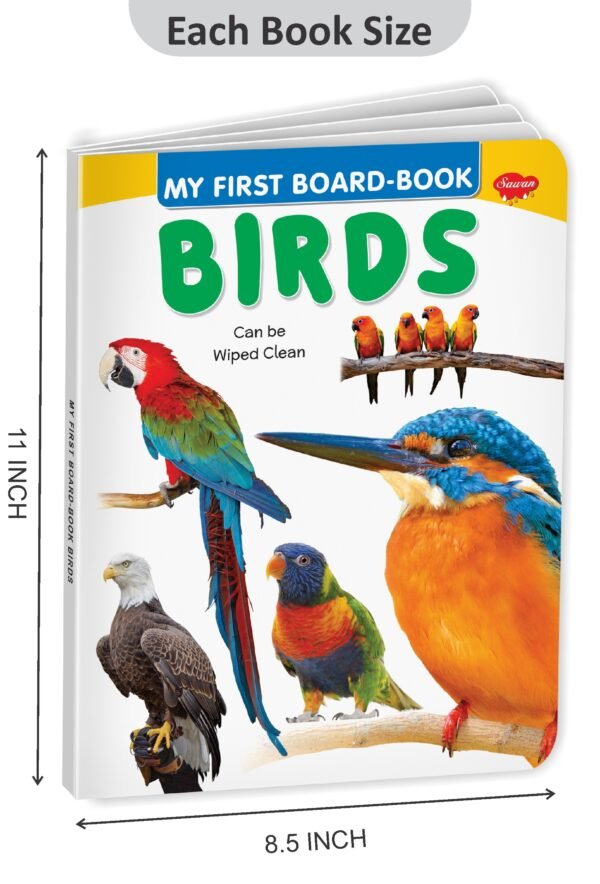 Birds | My First Board-Book | Early Learning Picture Book - Image 2