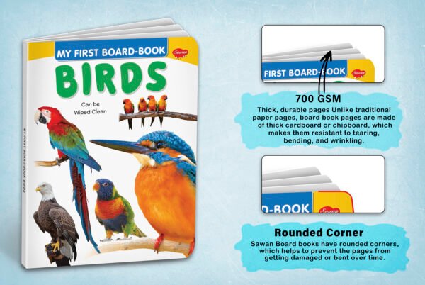 Birds | My First Board-Book | Early Learning Picture Book - Image 4