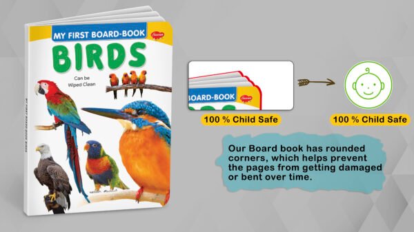 Birds | My First Board-Book | Early Learning Picture Book - Image 3
