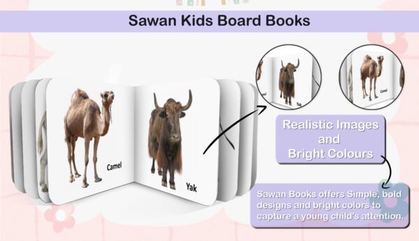 Domestic Animals & Pets | Kids Board Book | Early Learning Picture Book - Image 2