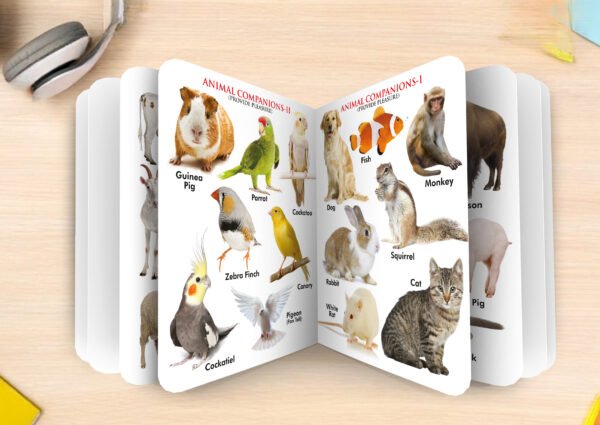 Domestic Animals | My First Board-Book | Early Learning Picture Book - Image 6