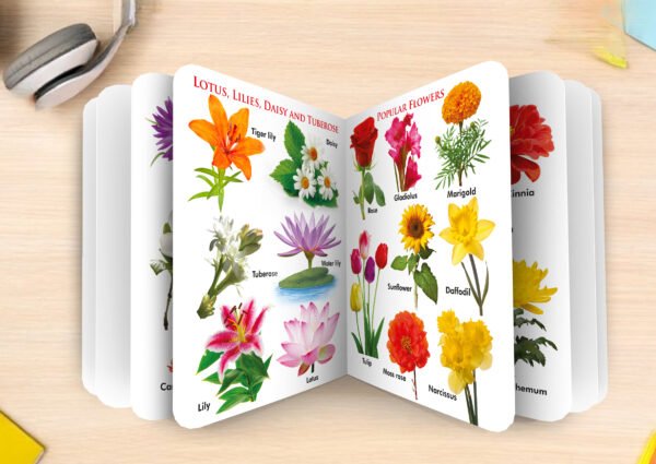 Flowers | My First Board-Book | Early Learning Picture Book - Image 6