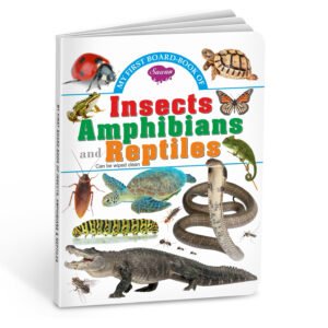 Advancement Insects Amphibians and RePtiles