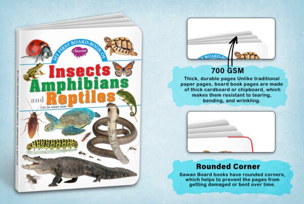 Insects, Amphibians and Reptiles | My First Board-Book | Early Learning Picture Book - Image 4