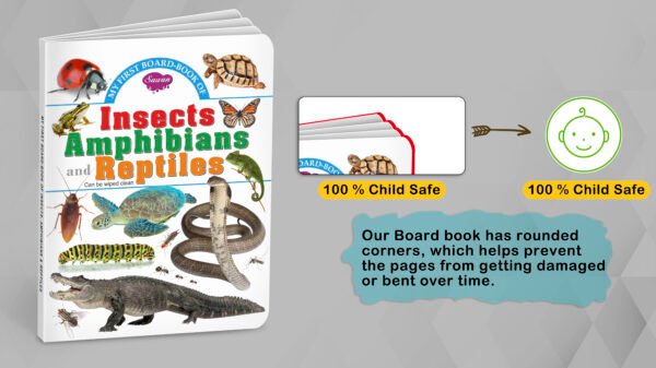 Insects, Amphibians and Reptiles | My First Board-Book | Early Learning Picture Book - Image 3