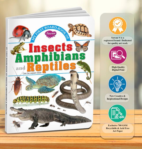 Insects, Amphibians and Reptiles | My First Board-Book | Early Learning Picture Book - Image 7
