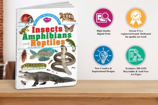 Insects, Amphibians and Reptiles | My First Board-Book | Early Learning Picture Book - Image 5