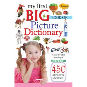 My First Big Book of Picture Dictionary
