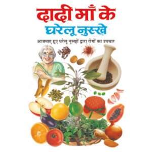 Dadi Maa Ke Gharelu Nuskhe (Hindi Edition)