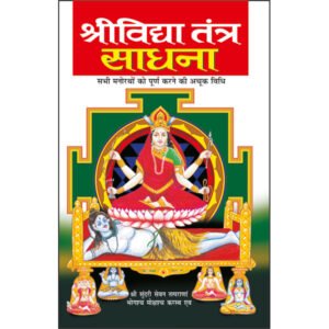 Shrividya Tantra Sadhana (Hindi Edition)