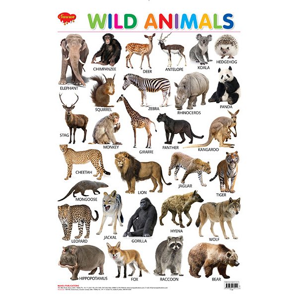 Wild Animals Hard Laminated Educational Chart - Sawan Books