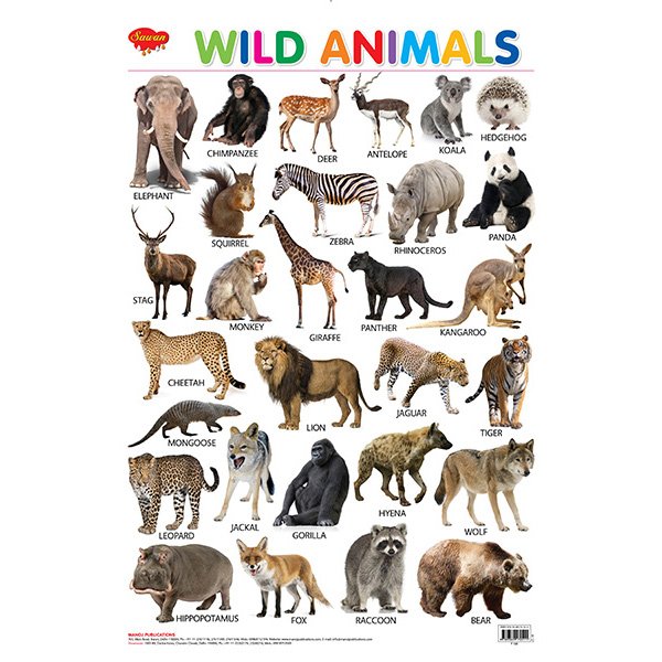 Top 172 + Wild animals chart with names - Inoticia.net