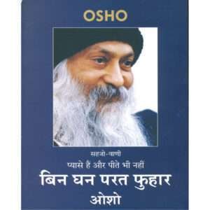 Bin Ghan Parat Phuhar (Hindi Edition)