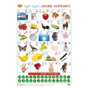 Arabic Alphabet(Arabic)
