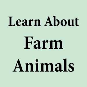 learn About Farm animal?