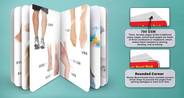Body Parts and Good Habits | 2 in 1 My Lovely Board Book - Image 7