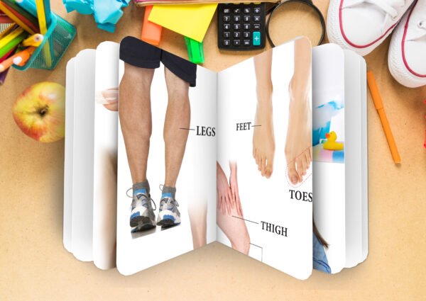 Body Parts and Good Habits | 2 in 1 My Lovely Board Book - Image 5
